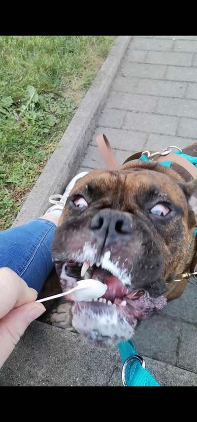 152. Foto Challenge: "Friss mir aus der Hand"-Beitrag-Bild