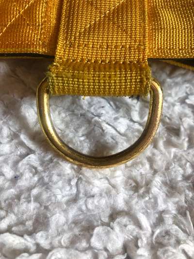 Hunde Geschirre-Beitrag-Bild