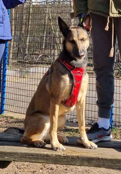 Schleppleine-Beitrag-Bild