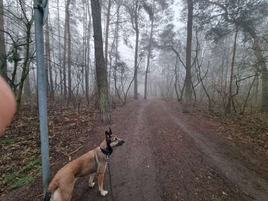 Schleppleine-Beitrag-Bild