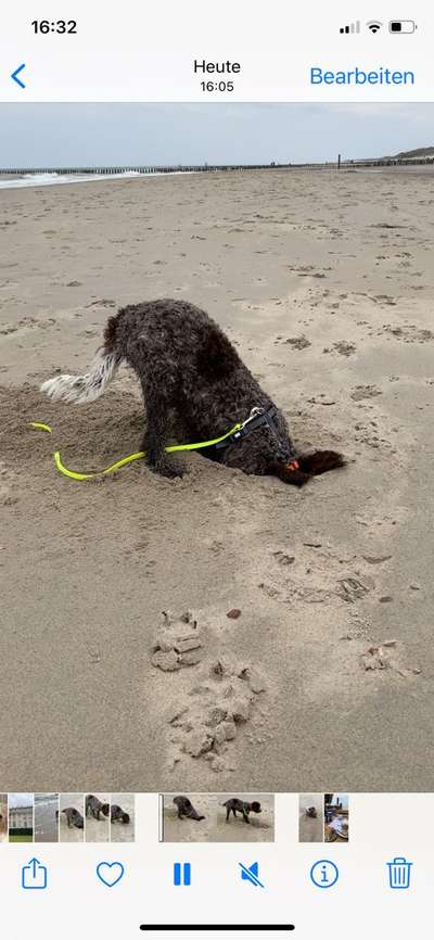 Fotowettbewerb Natur-Beitrag-Bild