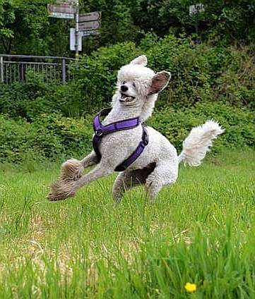 LUSTIGE FOTOS! WER KANN MITHALTEN?-Beitrag-Bild