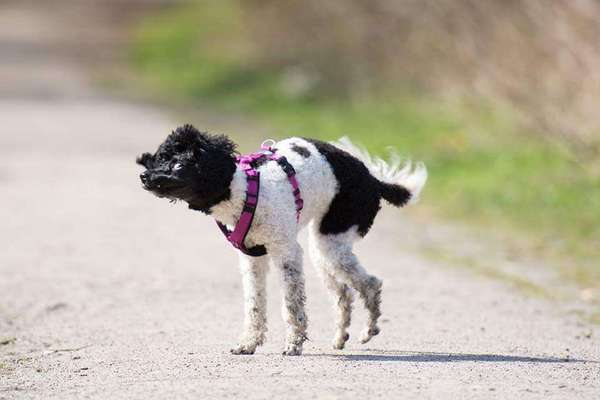 LUSTIGE FOTOS! WER KANN MITHALTEN?-Beitrag-Bild