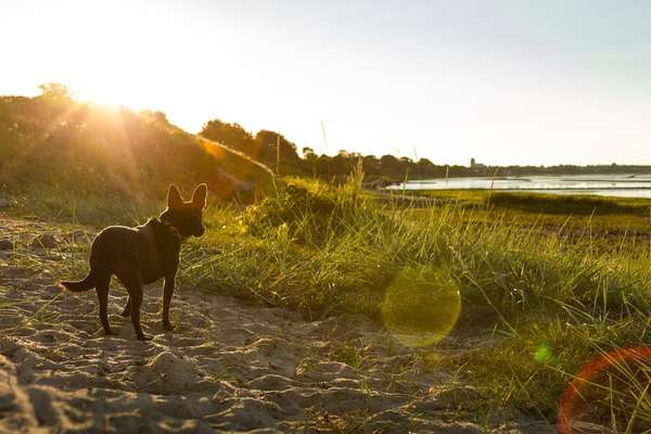 SonnenSTRAHLEN-Beitrag-Bild