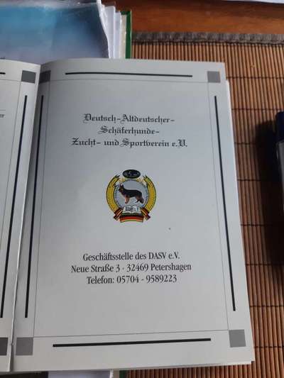 Alles rund um den Schäferhund, diskutieren erwünscht.-Beitrag-Bild