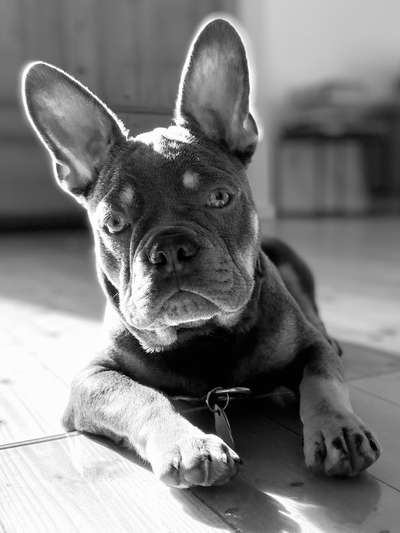 Foto-Challenge 76: Foto in Schwarz-Weiss-Beitrag-Bild