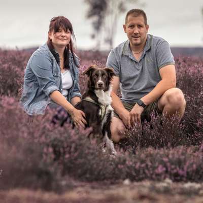 Hundetreffen-Treffen mit Sam zum toben-Profilbild