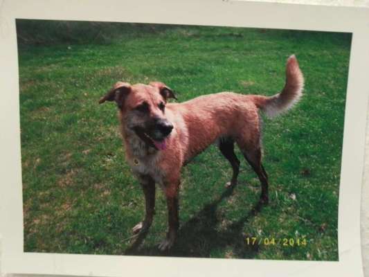 Doppelgänger gesucht !-Beitrag-Bild