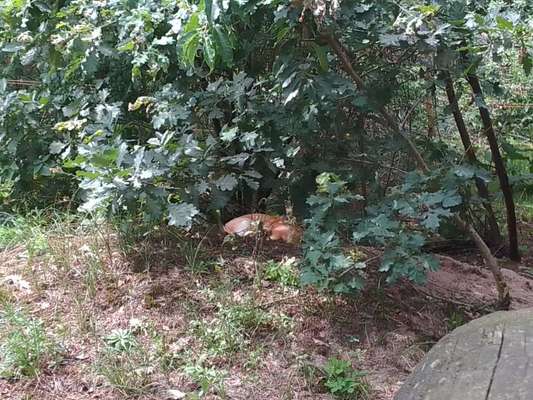 80. Foto  Challenge - Versteckt/ in einer Höhle-Beitrag-Bild