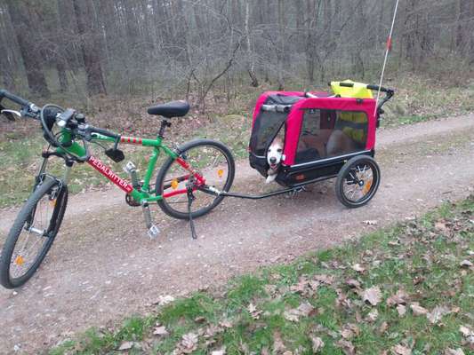 Mit Fahrradanhänger unterwegs?-Beitrag-Bild