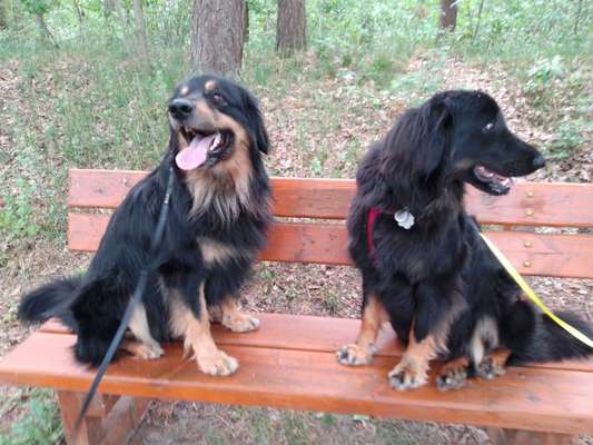 Doppelgänger gesucht !-Beitrag-Bild