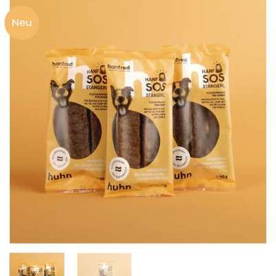 Silvester,Eierlikör für den Hund-Beitrag-Bild