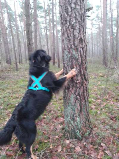 45. Handy - Foto - Challenge-Beitrag-Bild