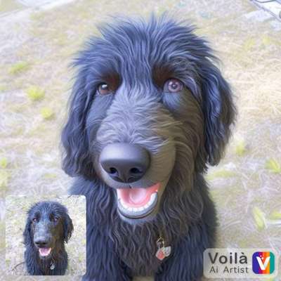 Voila app Bilder-Beitrag-Bild