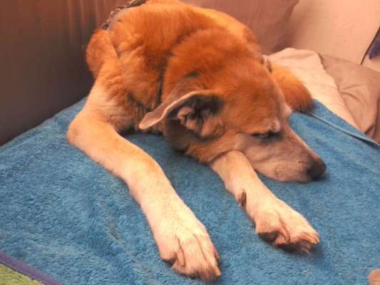 Was hat euch heute gefreut?-Beitrag-Bild