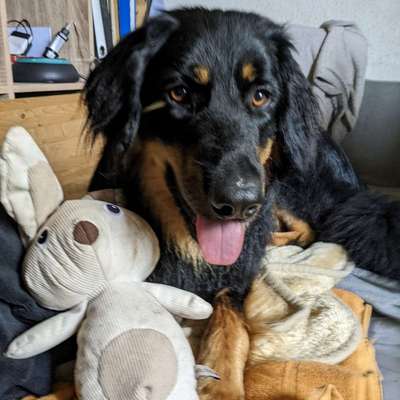 Marianne's Profilbild