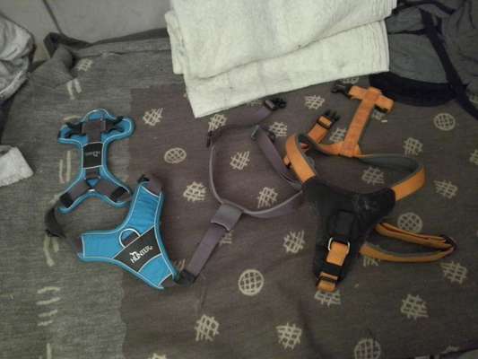 Erstausstattung-Beitrag-Bild