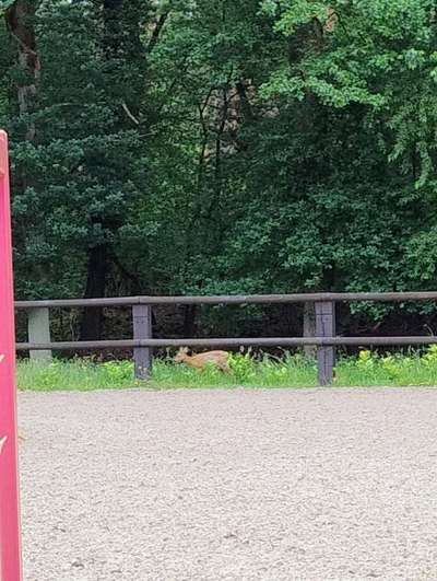 Was hat euch heute gefreut?-Beitrag-Bild