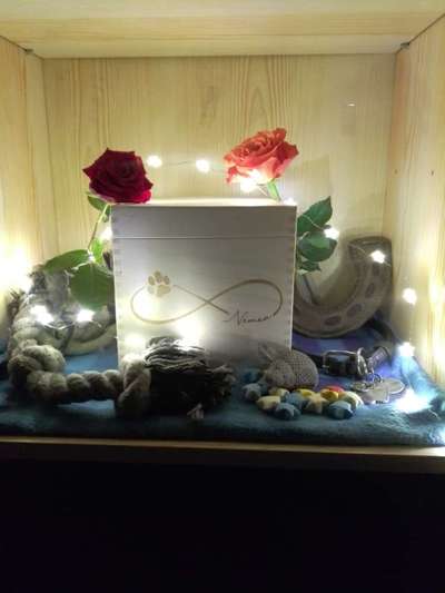 Urne von verstorbenen Haustieren !-Beitrag-Bild