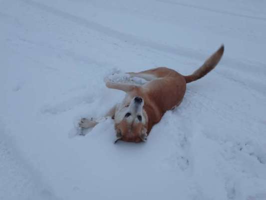 Was hat euch heute gefreut?-Beitrag-Bild