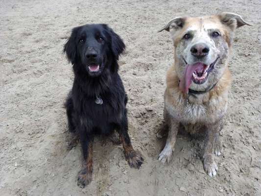 Dogorama Photo Challenge - Gegensätze-Beitrag-Bild