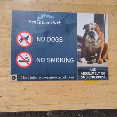 Hunde Memes-Beitrag-Bild