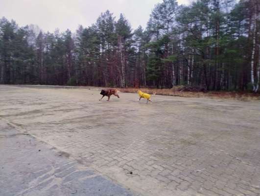 Was hat euch heute gefreut?-Beitrag-Bild