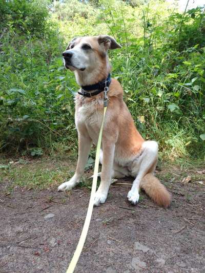 Doppelgänger gesucht !-Beitrag-Bild