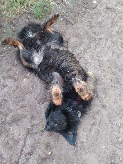 22. Handy Foto - Challenge-Beitrag-Bild