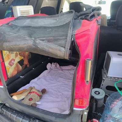 Campingurlaub (Zelten) alleine mit Hund - und die Autofahrt bis dahin-Beitrag-Bild