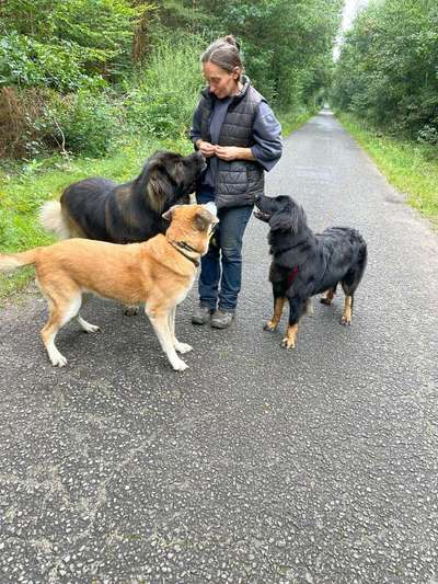 Handy-Foto-Challange Nr. 8-Beitrag-Bild