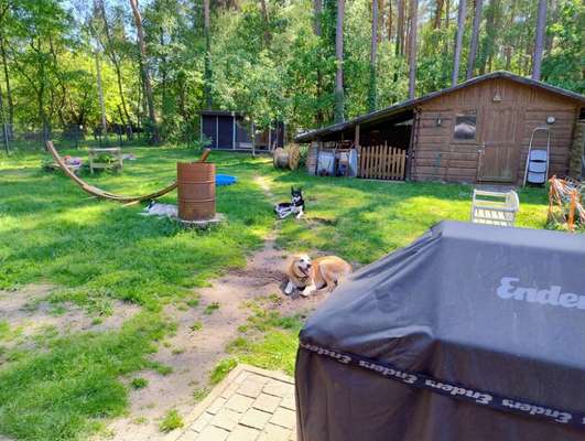 Was hat euch heute gefreut?-Beitrag-Bild