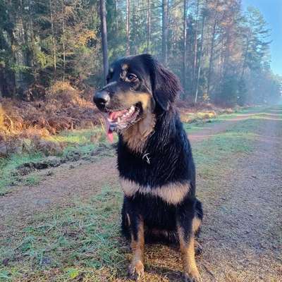 Marianne's Profilbild