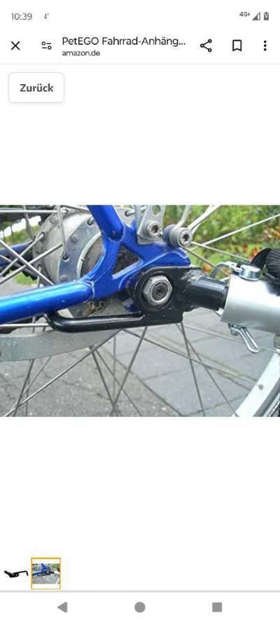 Mit Fahrradanhänger unterwegs?-Beitrag-Bild