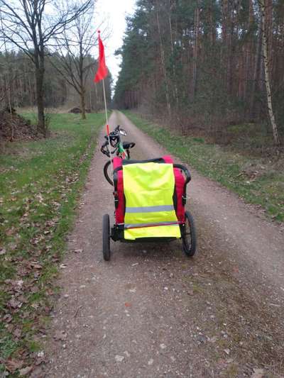 Mit Fahrradanhänger unterwegs?-Beitrag-Bild