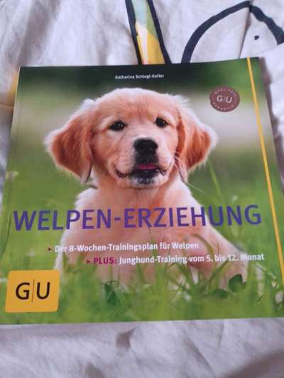 Erstausstattung-Beitrag-Bild