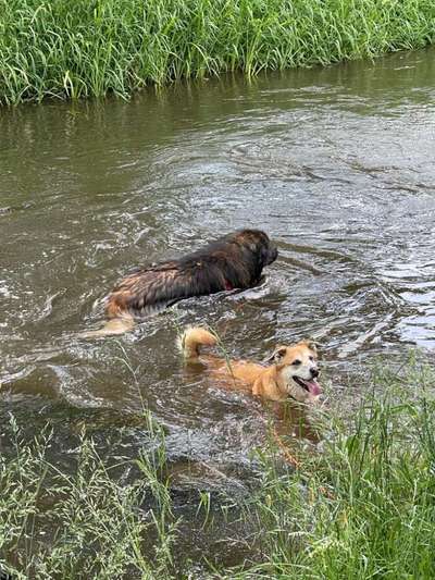 FOTOCHALLANGE NR.71 BADEFREUDE-Beitrag-Bild