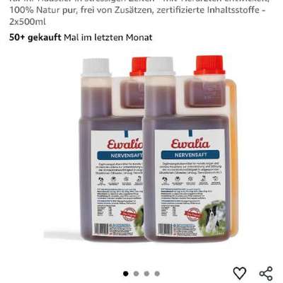 Wie bereitet ihr euer Hunde, auf Silvester vor?-Beitrag-Bild