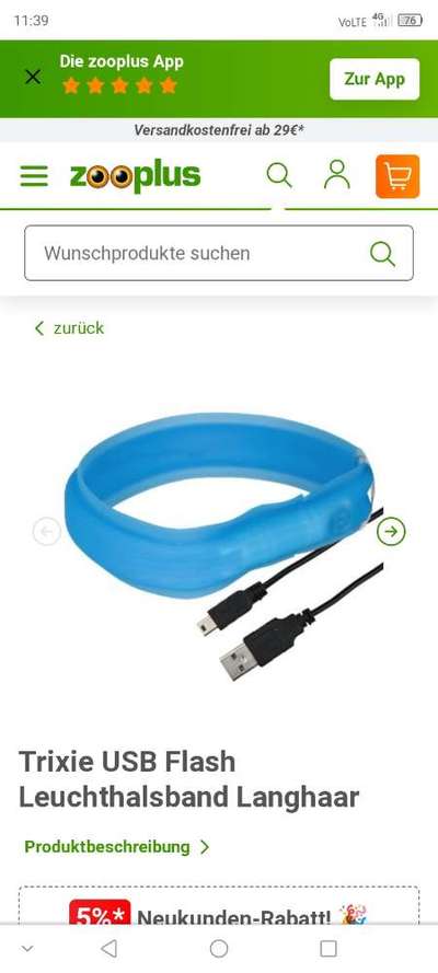 Beleuchtung beim Gassigang-Beitrag-Bild