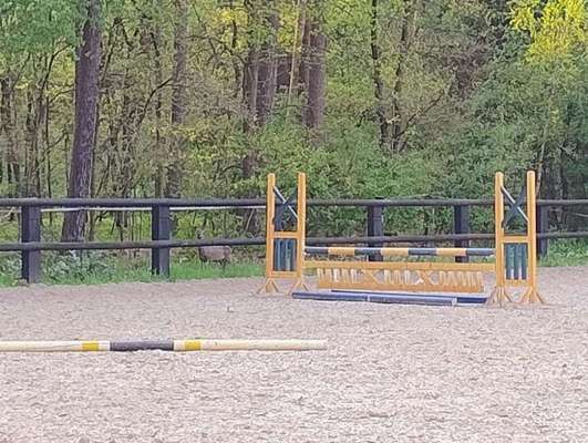 Was hat euch heute gefreut?-Beitrag-Bild