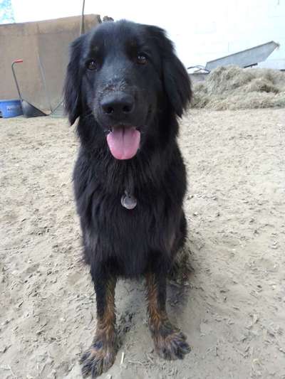 Doppelgänger gesucht !-Beitrag-Bild