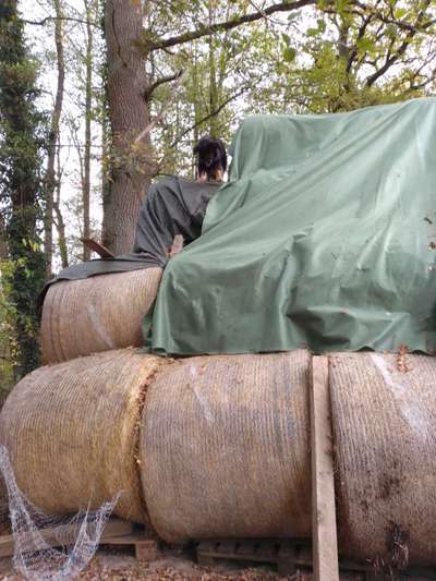 57. Handy Foto Challenge - klettern-Beitrag-Bild