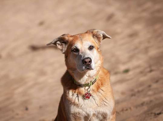 Zeigt eure Portraits-Beitrag-Bild