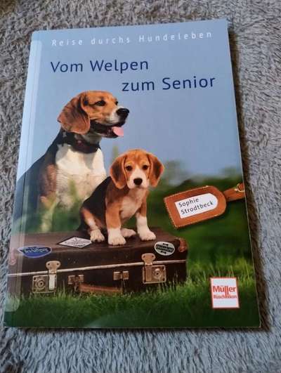 Was hat euch heute gefreut?-Beitrag-Bild