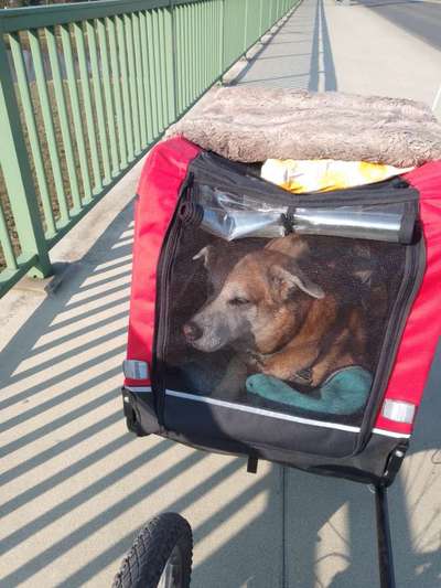 Was hat euch heute gefreut?-Beitrag-Bild