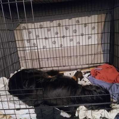 Was hat euch heute gefreut?-Beitrag-Bild