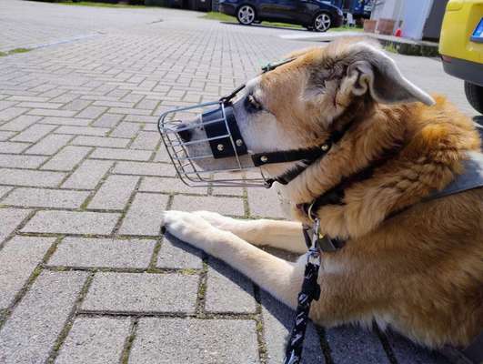 Was hat euch heute gefreut?-Beitrag-Bild