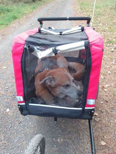 Was hat euch heute gefreut?-Beitrag-Bild