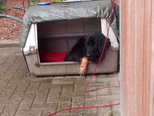 80. Foto  Challenge - Versteckt/ in einer Höhle-Beitrag-Bild