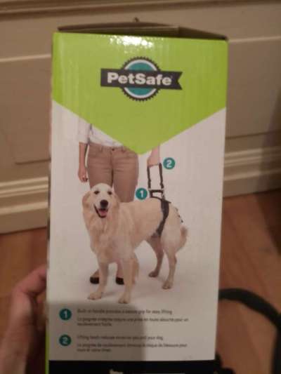 Fahrstuhl ausser Betrieb - Hund mit Arthrose-Beitrag-Bild